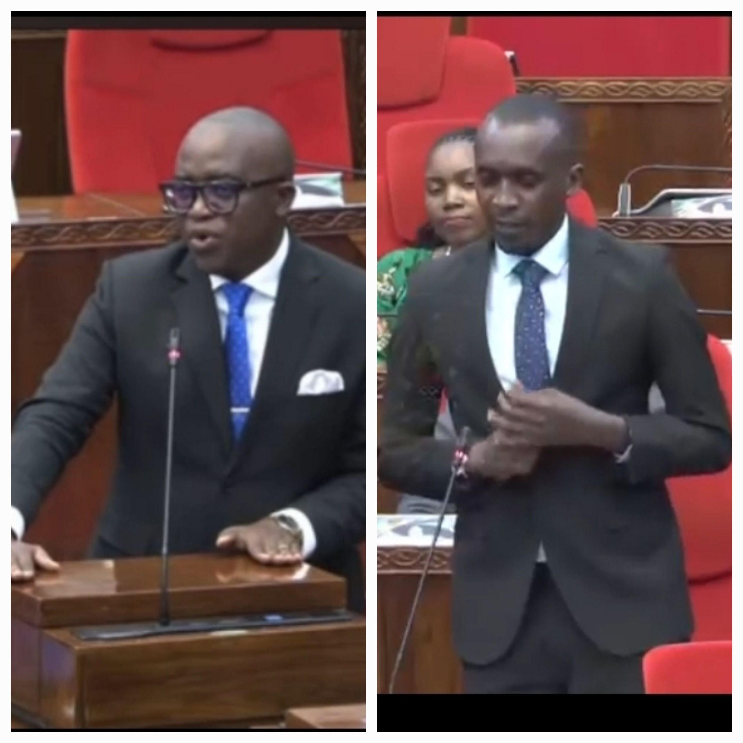 MRADI WA TEMBO NICKEL